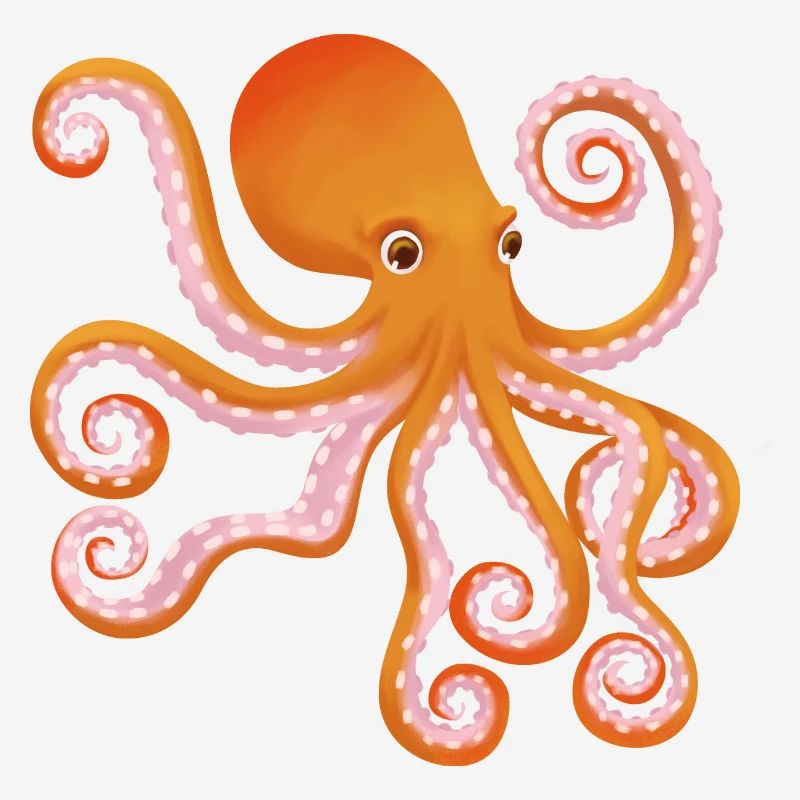 Octopus Octopus