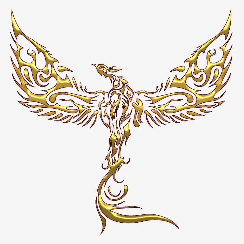 Aigles-Aigles-Aigles-Aigles-Oiseau-Oiseau