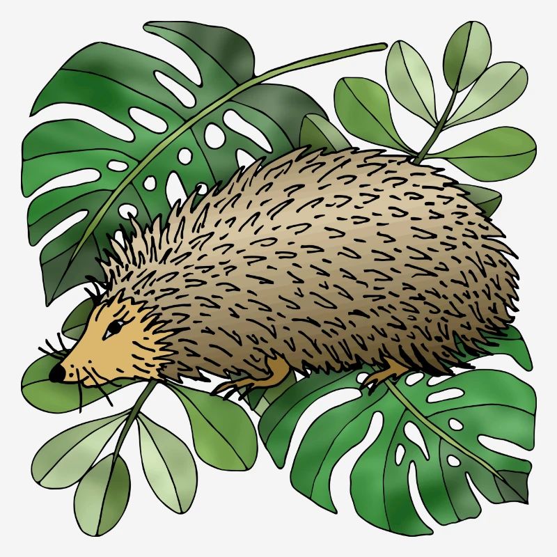 Igel