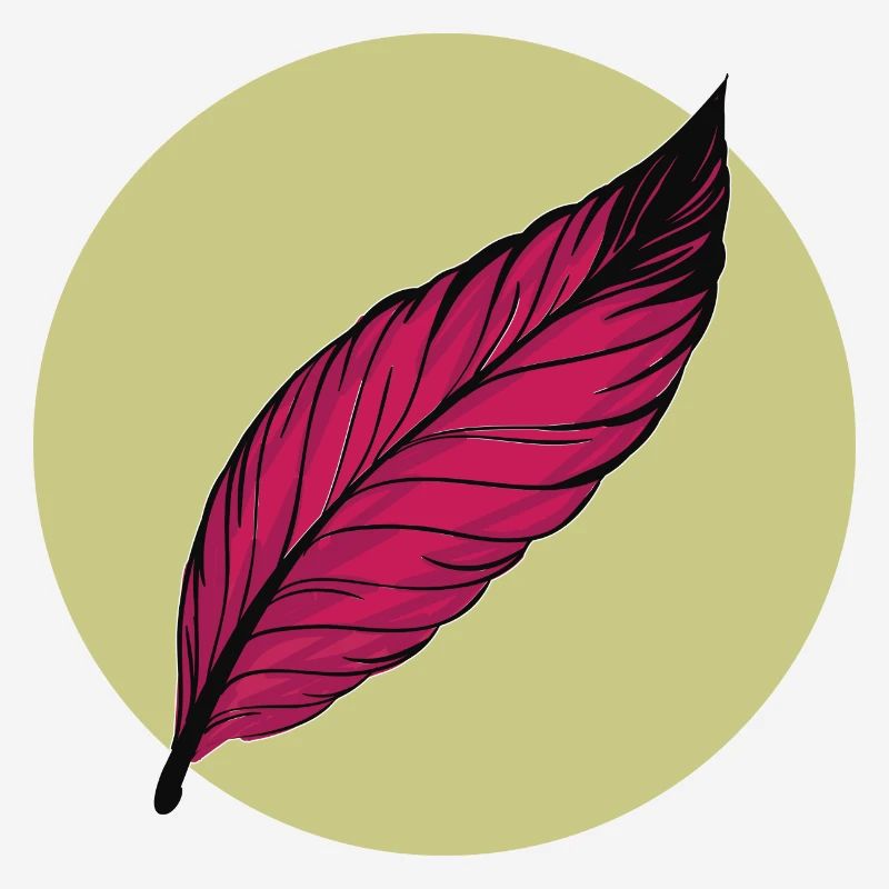 Minimal Feather Summer Couleurs à la mode