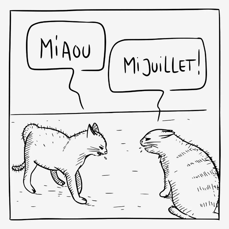 Chat