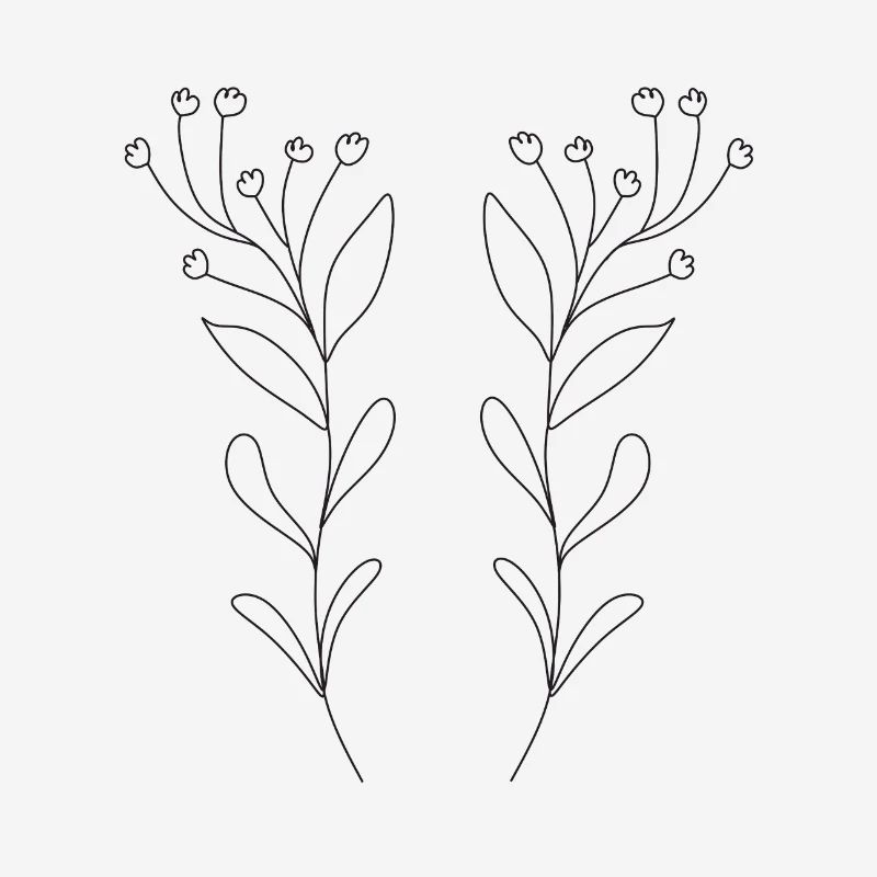 Conception simple et unique de la nature