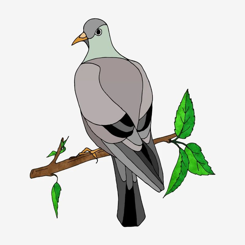 Oiseau
