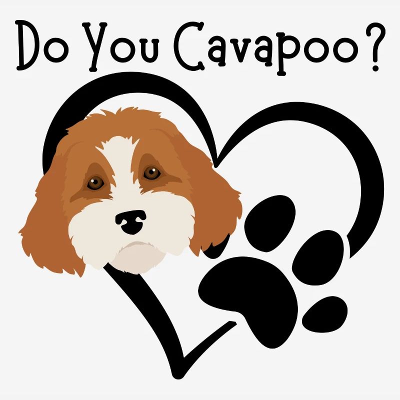 Do You Cavapoo?