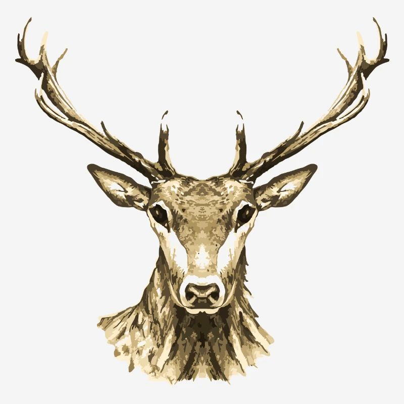 Cerf