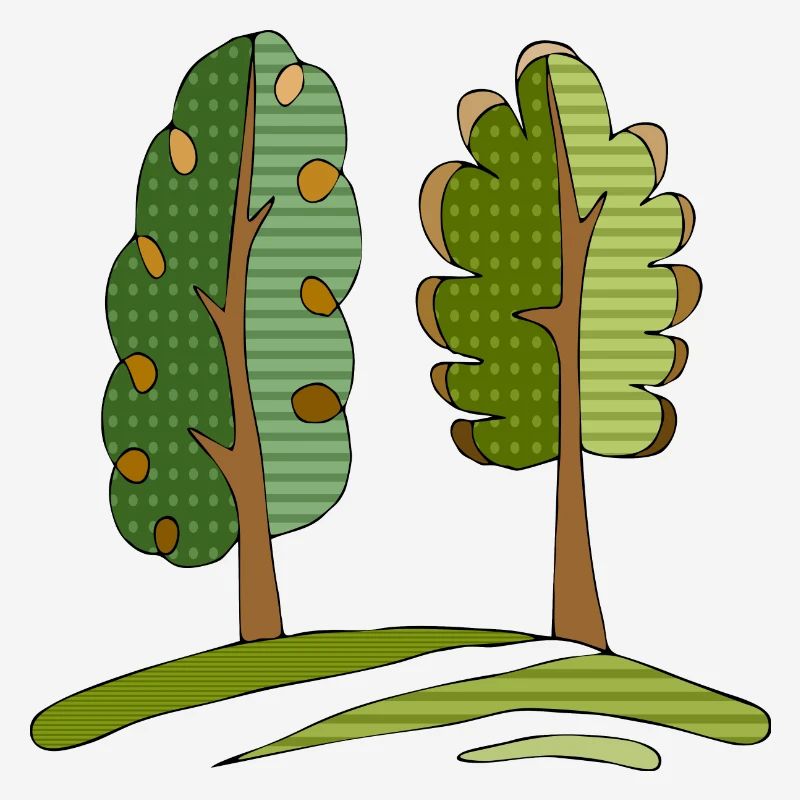 Baum