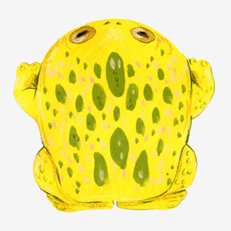 Frog Toad Yellow