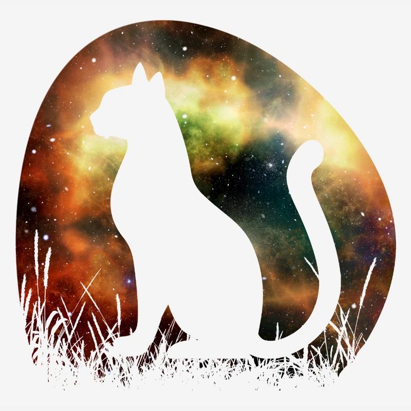 Chat de l’espace