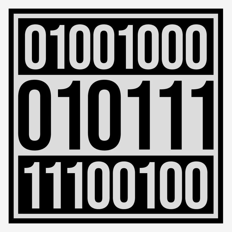 Binary Code Program Language