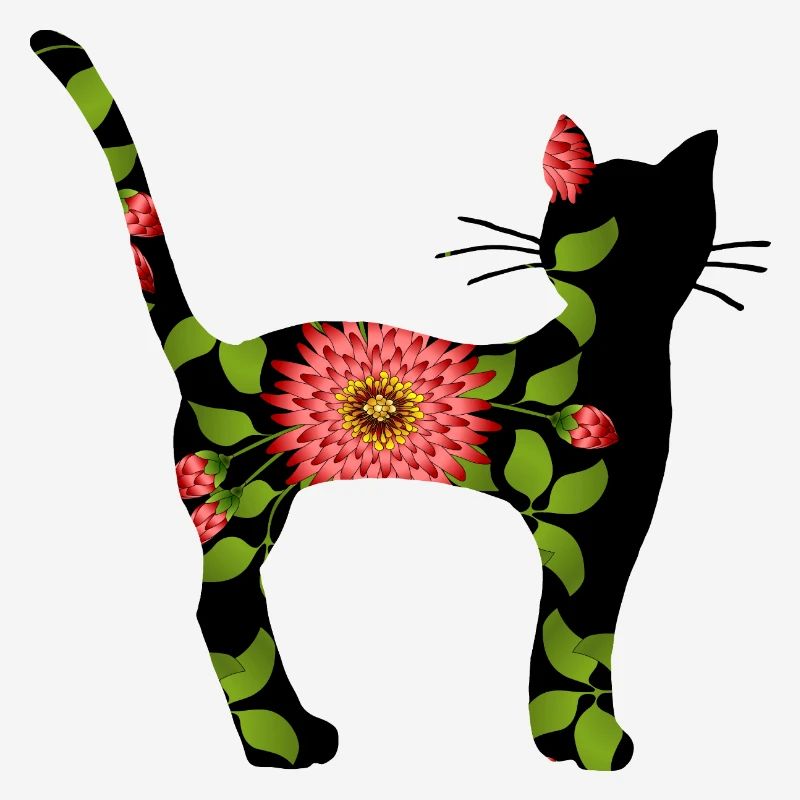 Chat