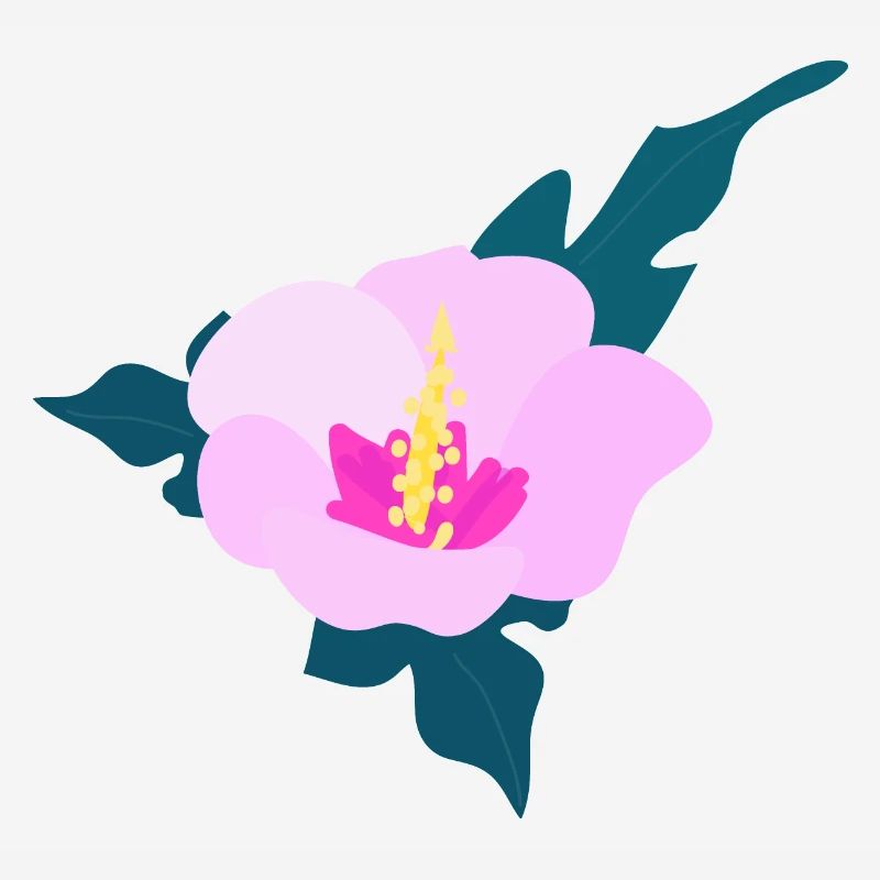 Hibiscus flower 2
