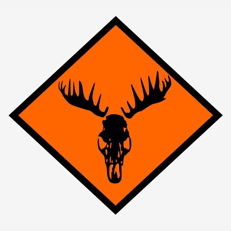 Moose Skull