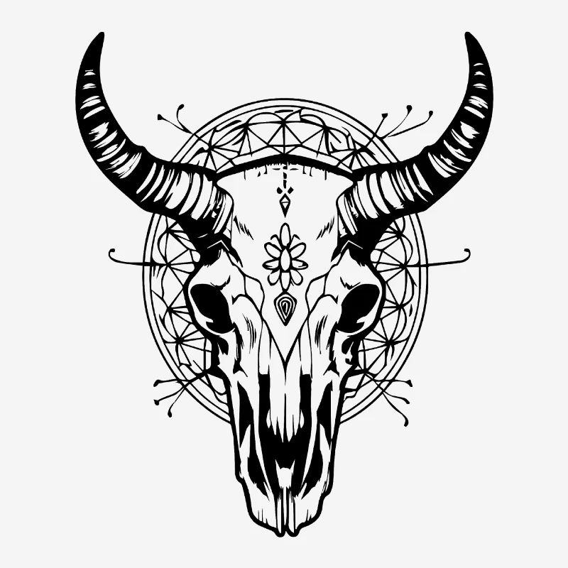 Crâne de vache Boho