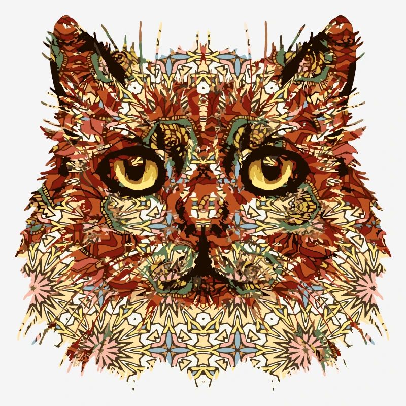 Chat