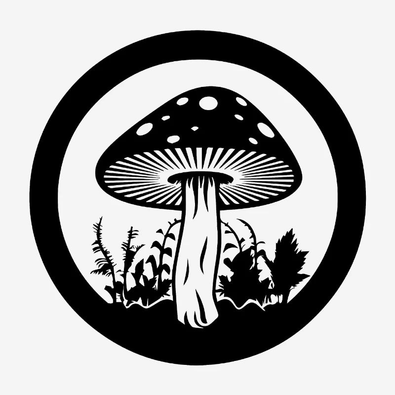 Champignon Cueilleur de champignons Champignons Champignons