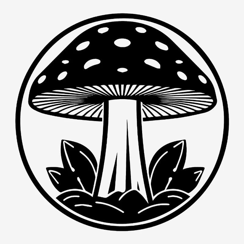 Champignon Cueilleur de champignons Champignons Champignons
