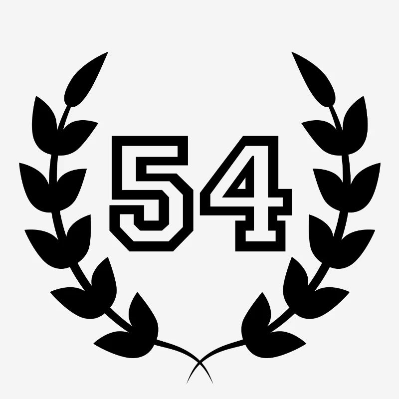 54th birthday-gift idea 54 years