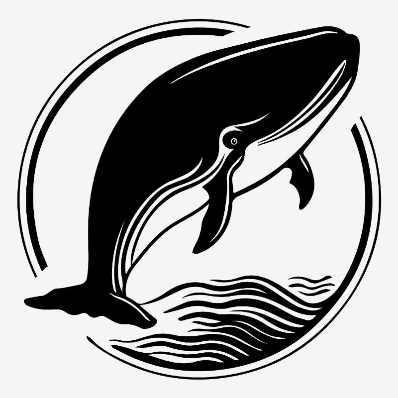 Whale Sea Fish