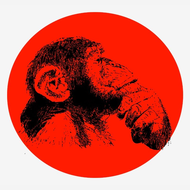 Think monkey chimpanzee