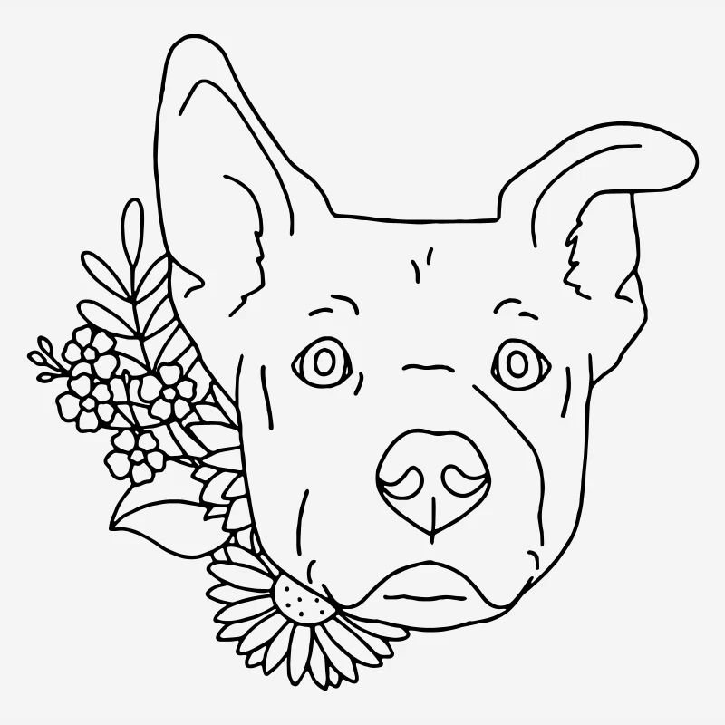 chien