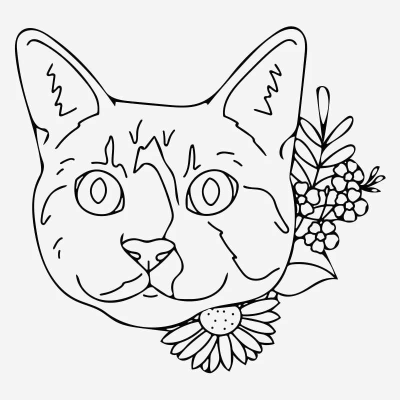 chat