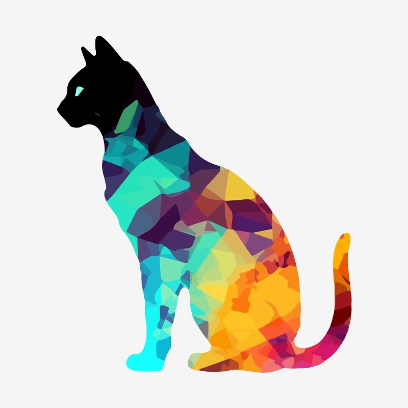 Aki le chat multicolore