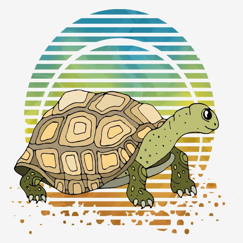 Schildkröte