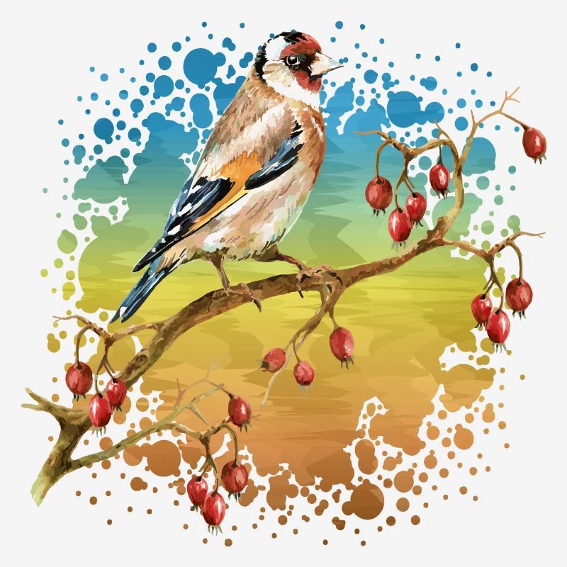 Oiseau