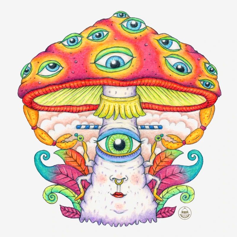 Trust the Universe, Mushroom, Toadstool