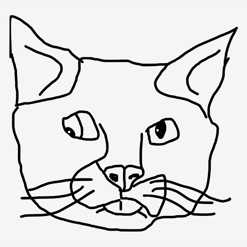 Chat