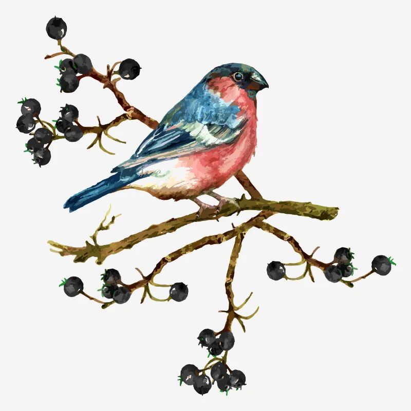 Bunter Vogel