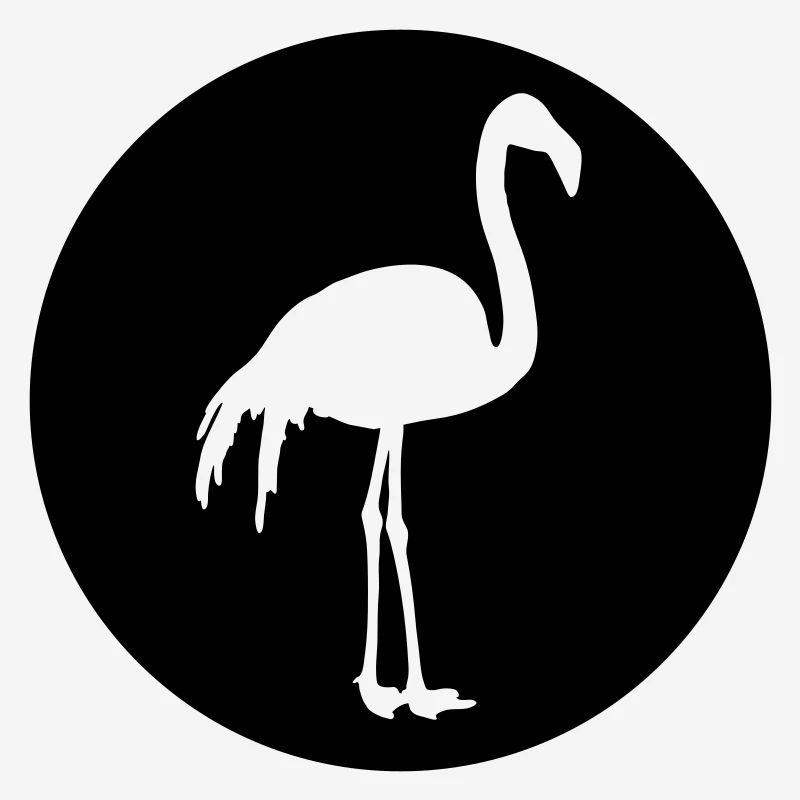Flamingo Design