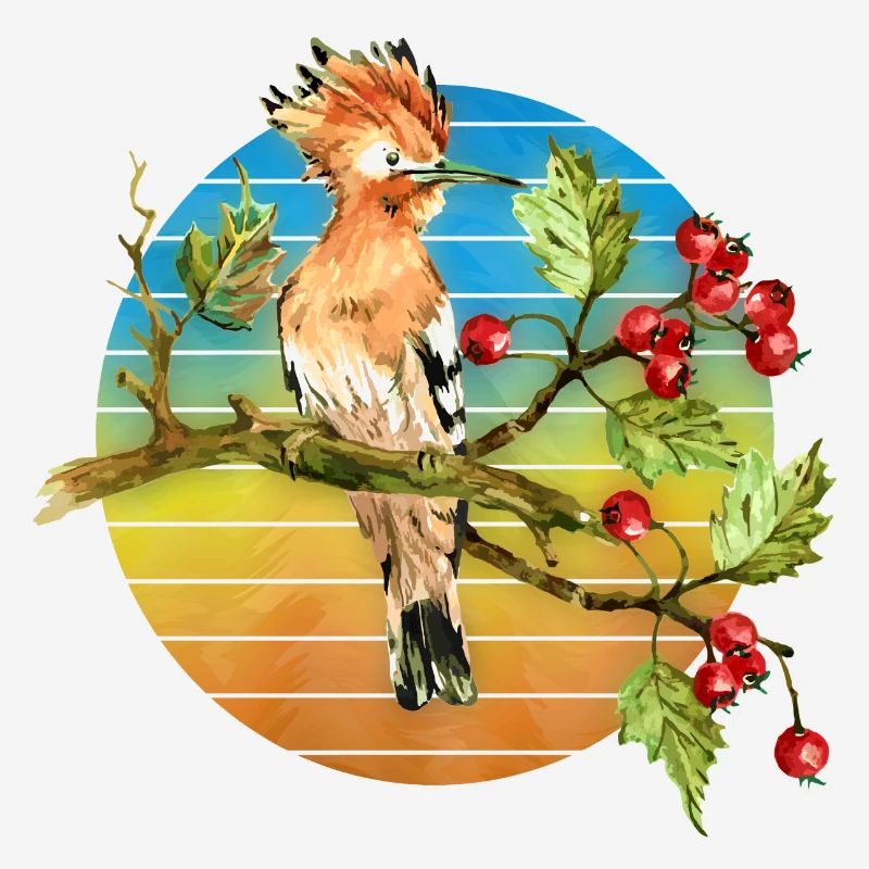 Oiseau coloré