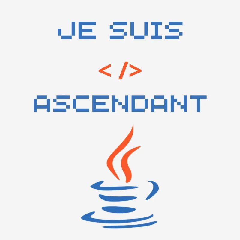 cadeau pour développeur java