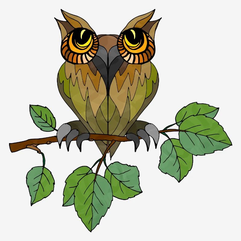 Oiseau coloré