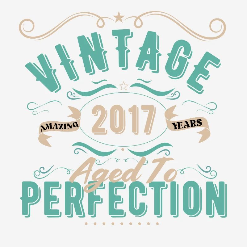 Vintage 2017-2017 Birthday Gift