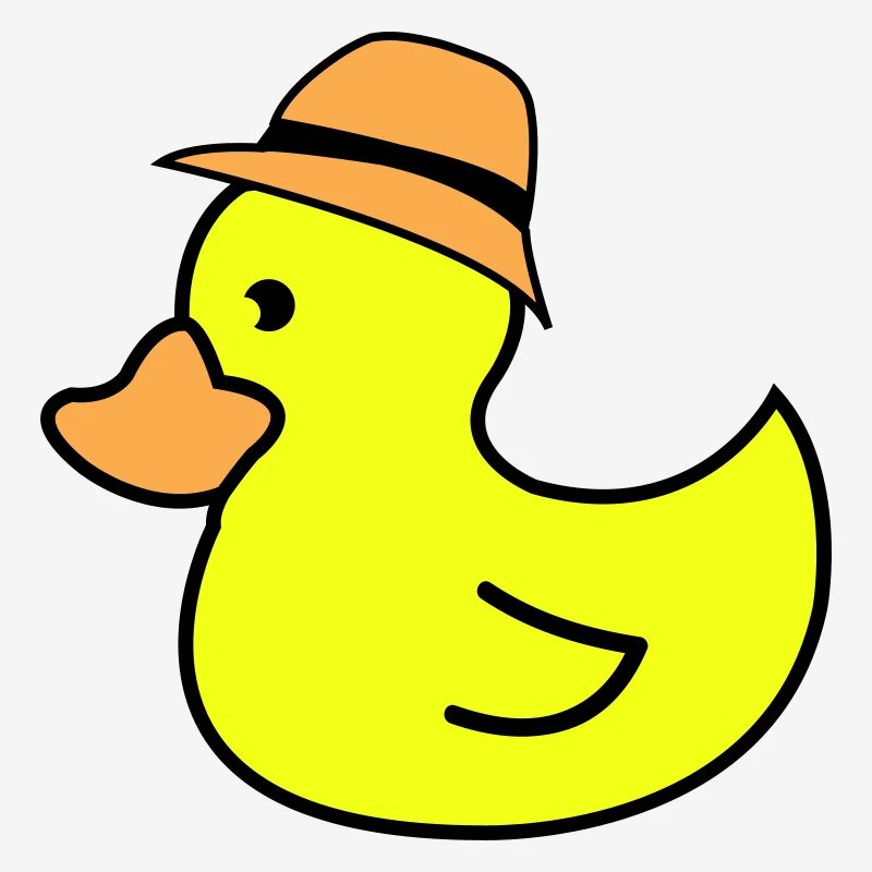Chapeau de canard