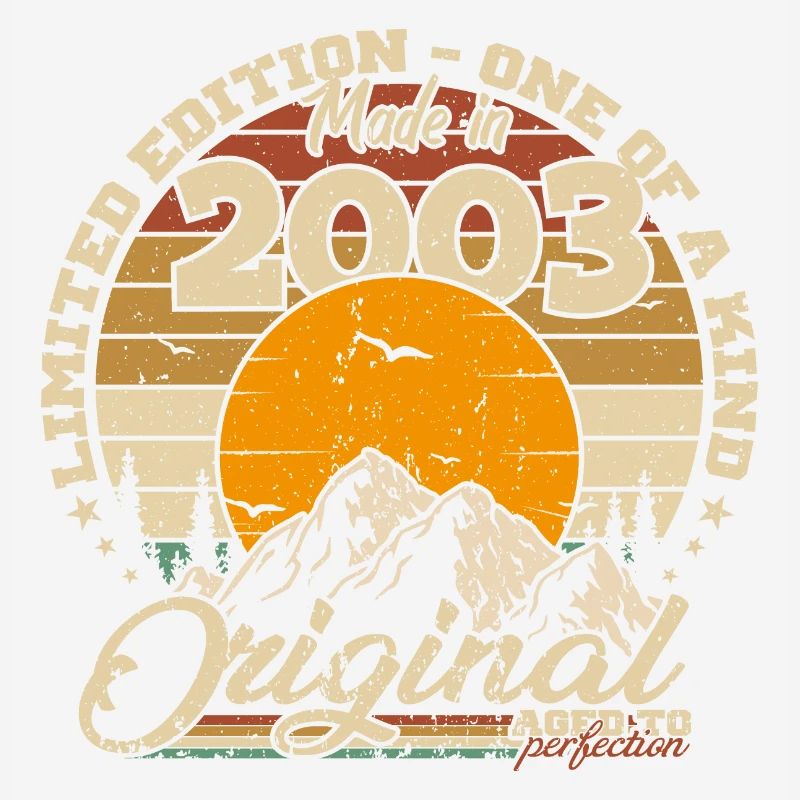 Made in 2003 Retro 2003 Birthday Gift