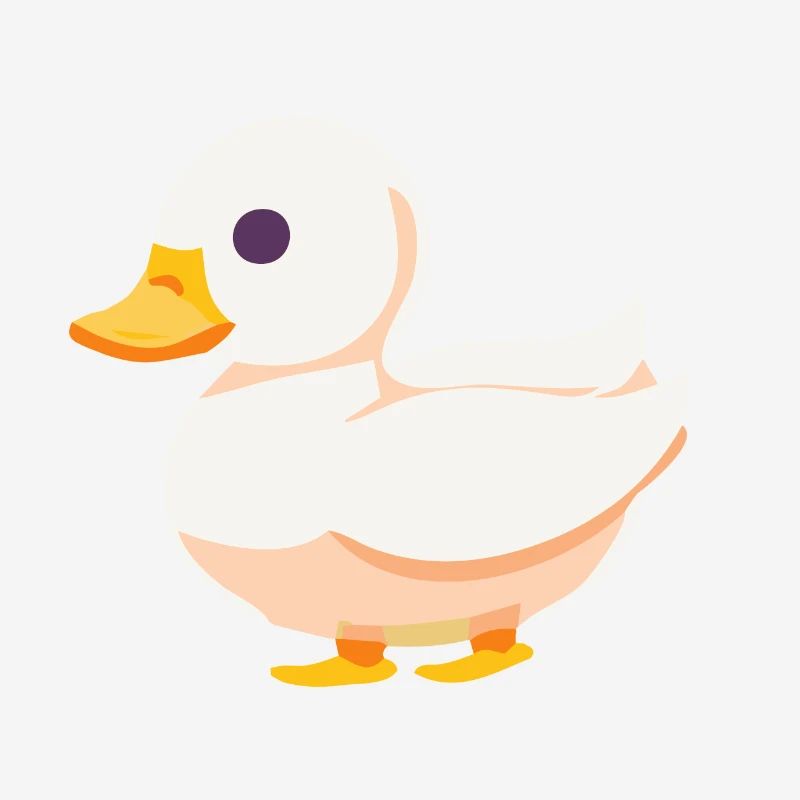 Bébé canard oie