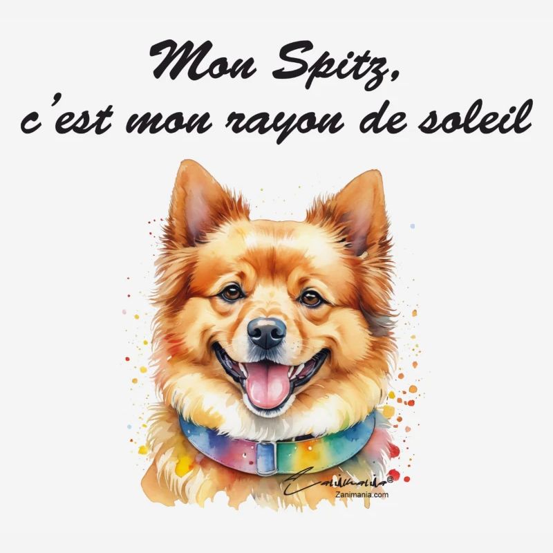 Spitz rayon de soleil