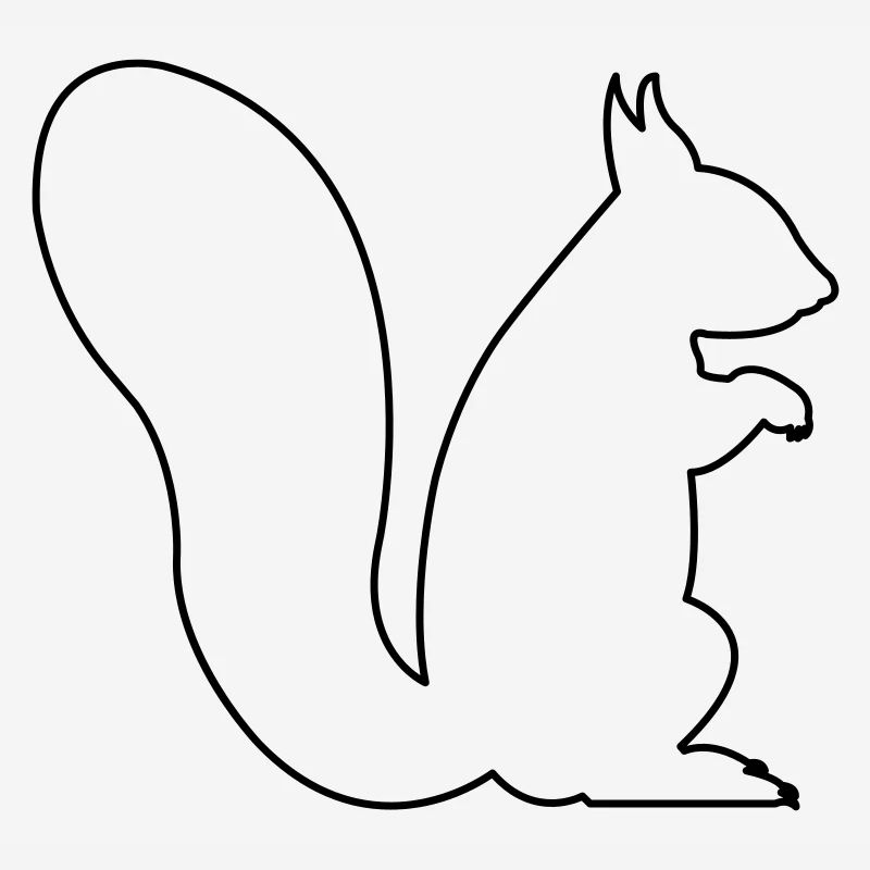 eichhörnchen