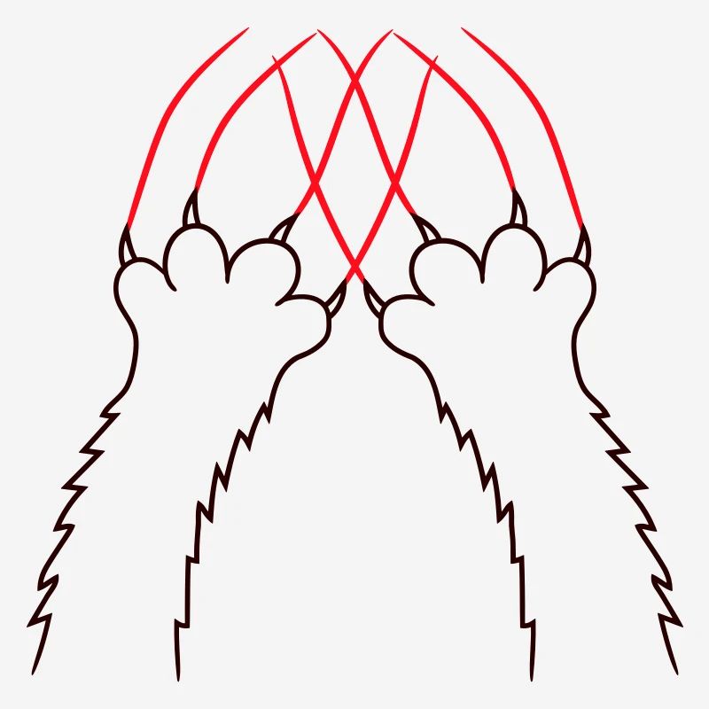 Chats, Griffes, Pattes, Pattes, Griffes, Griffures, Rayures