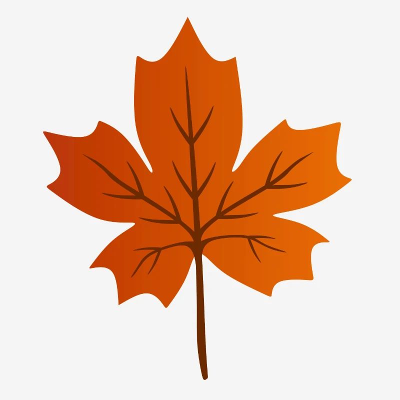 Feuille d’érable