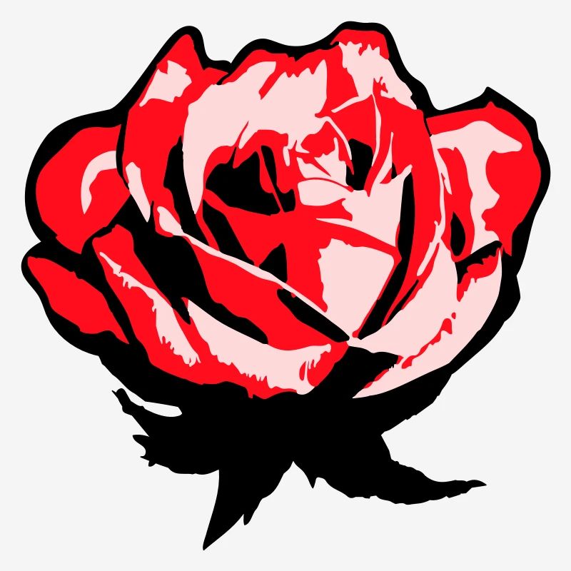 Pretty Beautiful Rose Blossom Leaf Roses Romantic