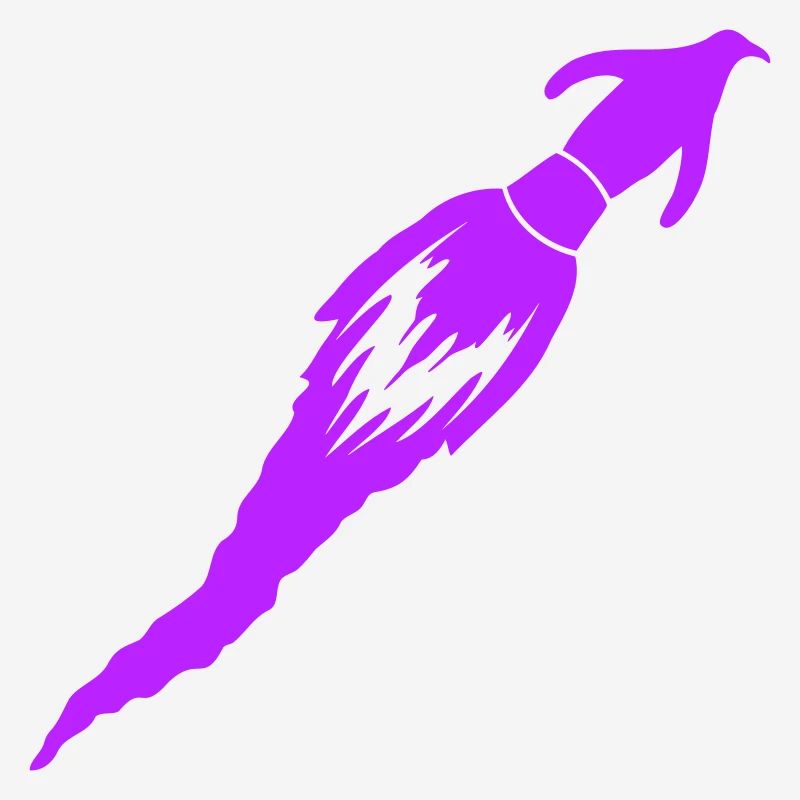 Funny Penguin Rocket Fire Fun Flight Flying