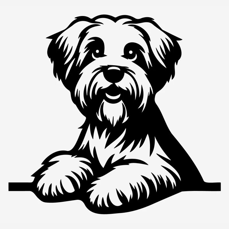 Dandie Dinmont Terrier