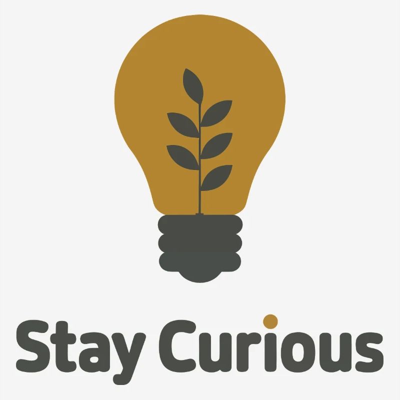 Stay Curious Light Bulb