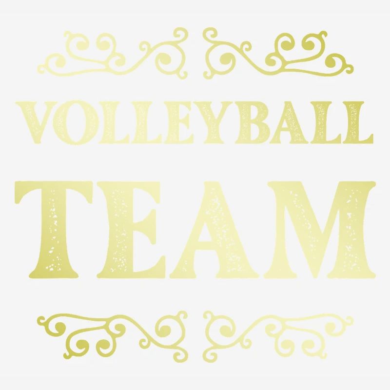 Équipe de volley-ball