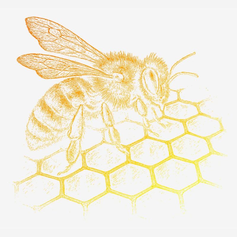 Honeybee