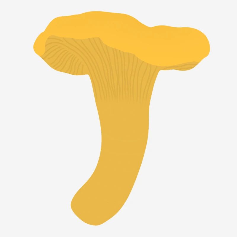 Girolles